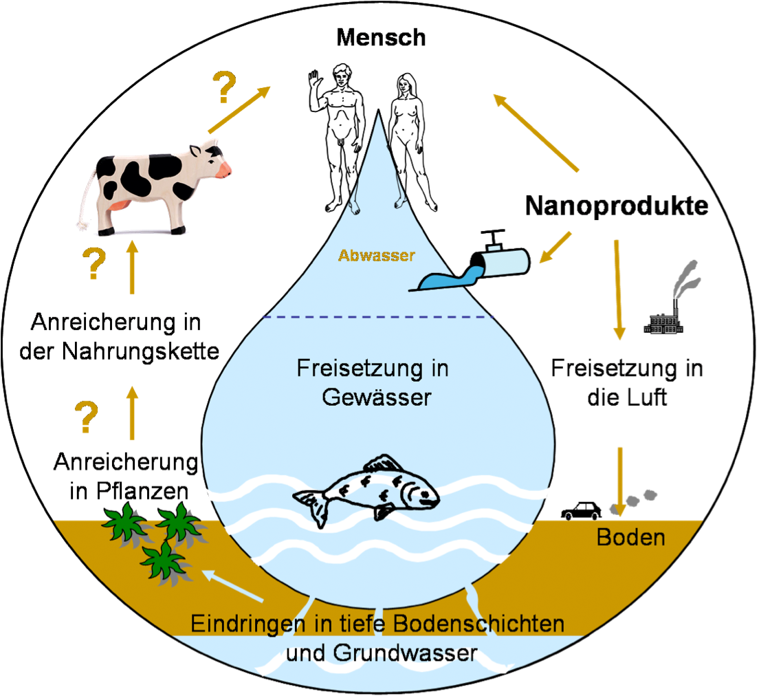 Schematische Darstellung des Lebenszyklus von Nanomaterialien. Schematische Darstellung des Lebenszyklus von Nanomaterialien.