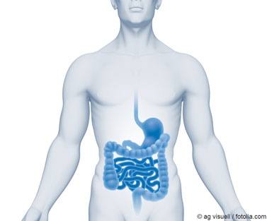 Illustration eines menschlichen Torsos mit blau hervorgehobenem Verdauungstrakt ©nerthuz / fotolia.com