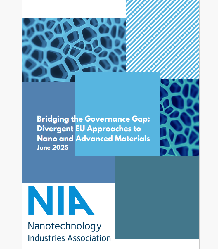 Screenshot NIA positionspapier 2025 Advanced materials